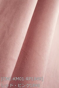 |GXeNуXG[h S46F n    sN n 12F z102cm 50cmȏ10cmPʔ̔