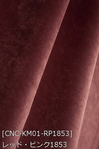 |GXeNуXG[h S46F n    sN n 12F z102cm 50cmȏ10cmPʔ̔