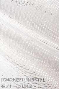 Xpjbg S12F     IW   sNn z95cm 50cmȏ10cmPʔ̔