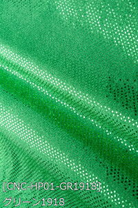 Xpjbg S12F     IW   sNn z95cm 50cmȏ10cmPʔ̔