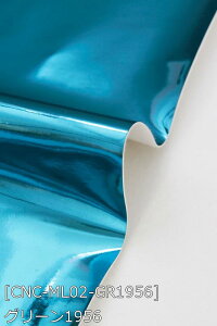 ^Gi S20F n      IW  sNn z130cm 50cmȏ10cmPʔ̔