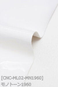 ^Gi S20F n      IW  sNn z130cm 50cmȏ10cmPʔ̔