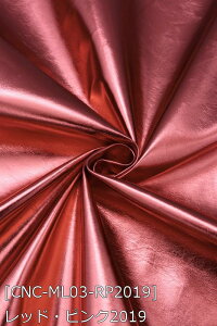 ^U[ver.3 S19F    sN IW    S[h Vo[ z135cm50cmȏ10cmPʔ̔