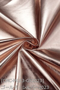 ^U[ver.3 S19F    sN IW    S[h Vo[ z135cm50cmȏ10cmPʔ̔