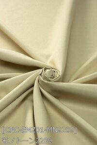 G{XH畗Te S25F    O[ x[W   z150cm 50cmȏ10cmPʔ̔