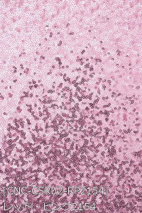 `[Xp _ Ver.2 S11F  sN    S[h Vo[  z120cm 50cmȏ10cmPʔ̔