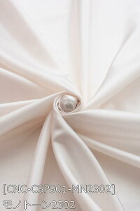 Xp[NTe S23F     O[ z145cm 50cmȏ10cmPʔ̔