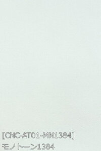 A[ocC n n S27F Fn 16F z150cm 50cmȏ10cmPʔ̔