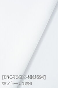 Tever.2 S38F n      n 20F z150cm 50cmȏ10cmPʔ̔