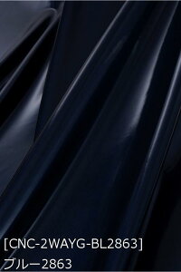 2WayOXU[ S13F   S[h Vo[   z135cm 50cmȏ10cmPʔ̔