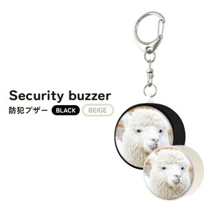 (5%OFFN[| 11/19 23:59܂) ApJ hƃuU[ qh~ Ђh~ hƃx 킢 Aj}  ApJObY 剹 h uU[ ʊw ObY ً}uU[ hƃObY L[z