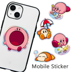 ̃J[rB LX^XebJ[ 3Zbg V[Zbg ϐ XebJ[ fR[V hfB ق΂wPC 炭J[rB Q[L G LN^[ V[