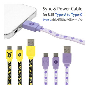 (10OFFN[|zz 10/09 01:59܂) |PbgX^[ USB Type-C [dP[u Type-CP[u [d  sJ`E ^ P[u R[h 킢 [dR[h Type-CP[u X}[gtH