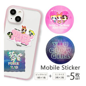 (SSN[|zz) p[ptK[Y oCXebJ[ 5Zbg V[Zbg rbOTCY ~jTCY ϐ XebJ[ Zbg fR[V LL ppt 킢 XebJ