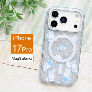 Camera Frame ~btB[ iPhone 17 Pro MagSafeΉ P[X LL Ci[V[gt NA \tgJo[ }Olbg iPhone17 pro ACtH ACz 17pro NAP[X