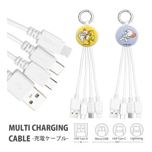 (N[|zz 10/13 23:59܂) gƃWF[ }`[dP[u LightningP[u Type-CP[u microUSBP[u 5V 2.4A ֗ LN^[ ObY G USB Type-A 킢 ACtH A