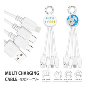 (10OFFN[| 420:00`1101:59) BbgI }`[dP[u bs[ LightningP[u Type-CP[u microUSBP[u 5V 2.4A ֗ LN^[ ObY G USB Type-A 킢 