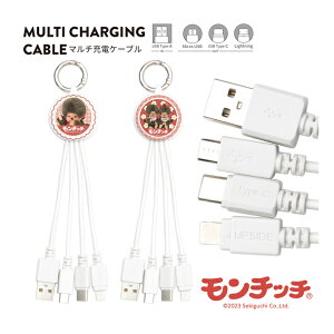 (10OFFN[| 420:00`1101:59) `b` }`[dP[u LightningP[u Type-CP[u microUSBP[u 5V 2.4A ֗ LN^[ ObY G USB Type-A 킢 g bh 