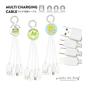 (10OFFN[| 420:00`1101:59) ̃sNX }`[dP[u LightningP[u Type-CP[u microUSBP[u 5V 2.4A ֗ LN^[ ObY G USB Type-A 킢 JG s