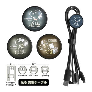 (10OFFN[| 420:00`1101:59) s[ibc Xk[s[ tbV }`[dP[u LightningP[u Type-CP[u microUSBP[u 5V 2.4A ֗ LN^[  USB Type-A ACtH