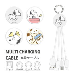 s[ibc Xk[s[ }`[dP[u LightningP[u Type-CP[u microUSBP[u 5V 2.4A ֗ LN^[ ObY G USB Type-A IV ACtH AhCh [dP[u