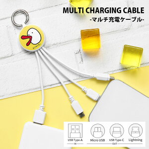 n`G }`[dP[u LightningP[u Type-CP[u microUSBP[u 5V 2.4A ֗ LN^[ ObY G USB Type-A IV ACtH AhCh [dP[u R[h