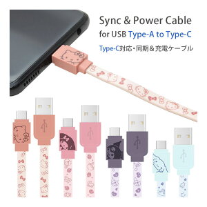 TILN^[Y USB Type-C [dP[u LN^[ Type-CP[u [d  N~ Vi[ P[u R[h 킢 p[v u[ [dR[h Type-CP[u X}[gt