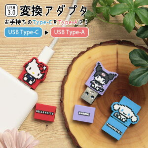 (X[p[Z[N[|zzI) TI ϊA_v^ USB Type-C to Type-A [d f[^ʐM ϊRlN^ USB3.0 n[LeB N~ Vi[ ϊ A_v^ RlN^ ^CvC X ^C