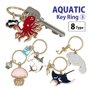 ANA`bN S8 L[z_[ 3e L[O CJ }^ J[WF[tBbV T O ֗ Aj}G ObY ֗ X}zO 킢 IV  v[g Mt