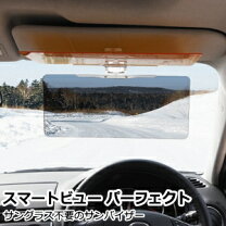 楽天市場】パーフェクトビュー 車の通販