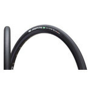 IRC wASPITE24x1xAXs[e(ASPITE) ^C (WO)24x1(25-520)