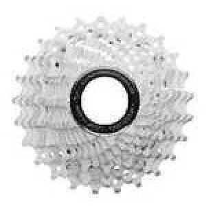 Jpj[ wCS9-CH127xCS9-CH127CHORUS XvPbg 11s 0216610002