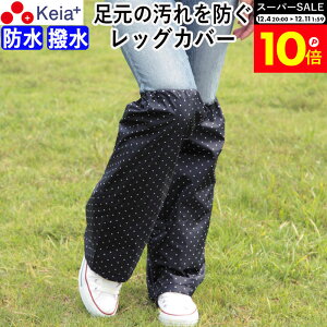 _X[p[SALEԒP10{^ y[J[z bOJo[ J bOEFA CEFA fB[X Y GȂ ]  킢  hbg  h ʊw ʋ | 