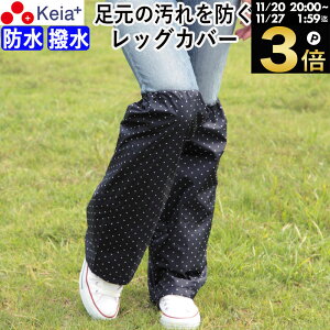 _ubNtCf[ԒP3{^ y[J[z bOJo[ J bOEFA CEFA fB[X Y GȂ ]  킢  hbg  h ʊw ʋ