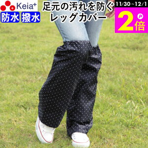 _11/30-12/1܂P2{^ y[J[z bOJo[ J bOEFA CEFA fB[X Y GȂ ]  킢  hbg  h ʊw ʋ | X|[c 