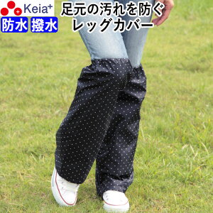 y[J[z bOJo[ J bOEFA CEFA fB[X Y GȂ ]  킢  hbg  h ʊw ʋ | X|[c Z쏊 KEIA KW551B 