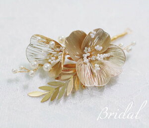 wAANZT[ փAs wbhhX t[ Vv EGfBO uC_ Ǝ w Ă΂