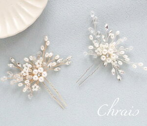 񂴂 t[ p[  UswAANZT[ l wbhhX } Ă΂  w Ǝ l   a ߑ EGfBO p[eB