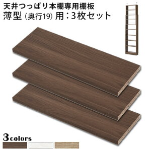 yubNtCf[JÒ!271:59z I 3Zbg ^ {̕ʔ X ς莮bN p I ؐ ip 56cm s19cm EH[ibg/zCg/I[N ETC001555