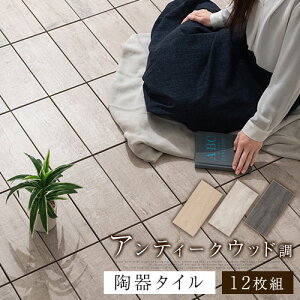 fbLpl x_ ^C AeB[N ؖ 퐻^C  30×15cm 12Zbg I[N/CgO[/O[ CPT000208