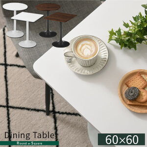 _CjOe[u 60×60 ` ~` JtF e[u 1lp 2lp He[u RpNg 1l炵 [ nCe[u n ؖ k X`[r {r ۋr  73cm Pi 