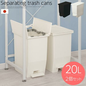 ふた付きゴミ箱 ダストボックス 四角形 トラッシュボックス ペール ごみばこ くずいれ くずかご ゴミ箱 20l 2個セット キャスター ふた付き ペダル式 省スペース 小さい 分別 キッチン カウン