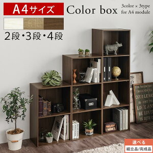 J[{bNX 2i/3i/4i [I  {I e bN I ؐ [ fBXvC VFt k A4 ؐbN cu u  X ޒI [bN  40cm 70/100/130 cm 