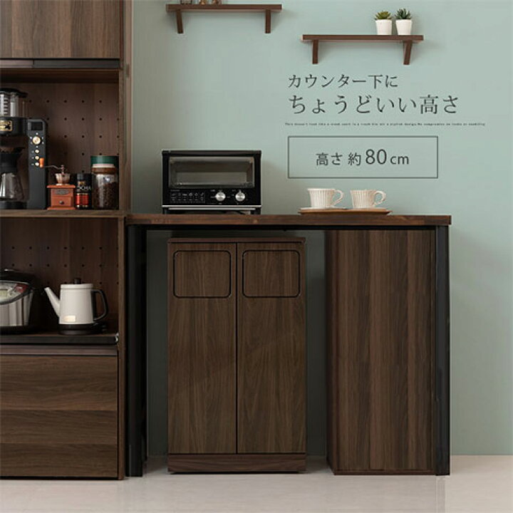 楽天市場】薄型 ダストボックス 2分別 ゴミ箱 袋 見えない 木目調 45L 