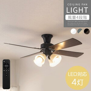 4 V[Ot@ 12 LED V[O Cg t@t  KX VF[h V[OCg 10 t 4H o[Vu ؐ ʒ R Q rO _CjO 