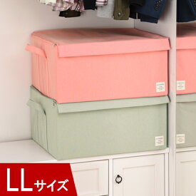 衣類収納ボックス LLサイズ 約 幅53cm 奥行43cm 高さ27cm 衣装ケース 布製 フタ付き カラーボックス インナーボックス 収納ボックス 布 ふた付き 整理ボックス