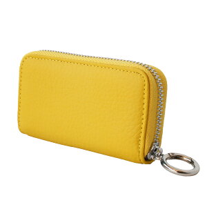 [֑ X}[gL[P[X Ԃ̌ U[ {v fB[X VNU[ L[`F[ Jt VNU[ v`Mtg uh 킢 J[    s