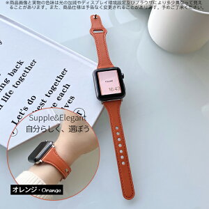 apple watch11 �o���h �v ���U�[ �A�b�v���E�H�b�` �x���g applewatch SE3�o���h 40mm 44mm 42mm 46mm �{�v �אg �X����