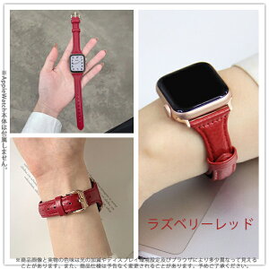 apple watch11 �o���h �v ���U�[ �A�b�v���E�H�b�` �x���g applewatch SE3�o���h 40mm 44mm 42mm 46mm �{�v �אg �X����