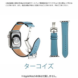 apple watch11 �o���h �v ���U�[ �A�b�v���E�H�b�` �x���g applewatch SE3�o���h 40mm 44mm 42mm 46mm �{�v �������